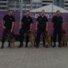 Przewodnicy psów służbowych Policji na EURO 2012